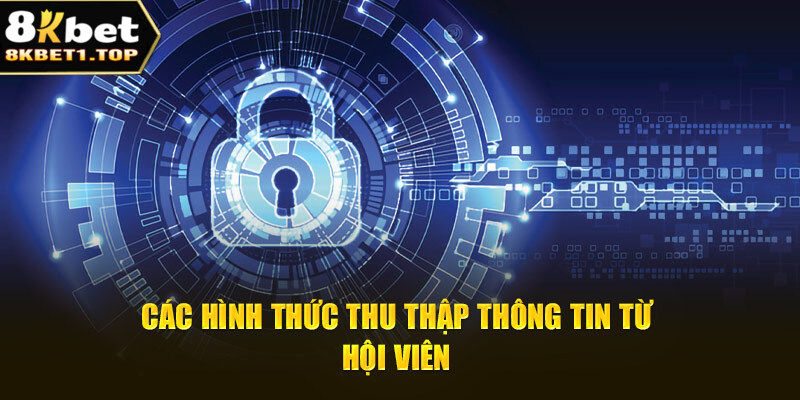 Cách nền tảng thu thập dữ liệu từ hội viên