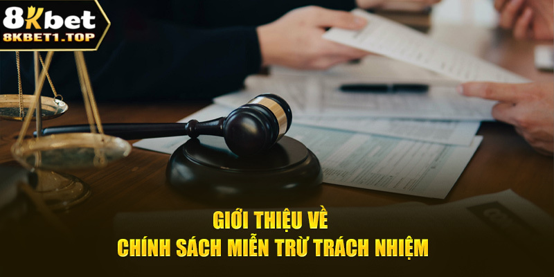 Giới thiệu về chính sách miễn trừ trách nhiệm