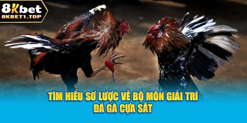 Tìm hiểu sơ lược về bộ môn giải trí đá gà cựa sắt